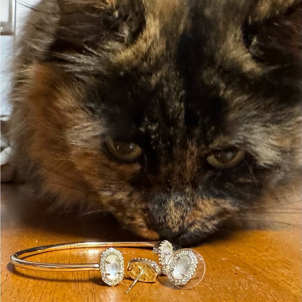 Kendra Scott bracelet and earrings